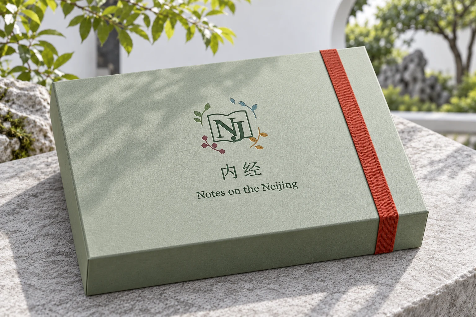 Closed sage presentation box with the book-shaped NJ logo and four seasonal sprigs, the Chinese name 内经 and English name Notes on the Neijing; AI packaging concept.