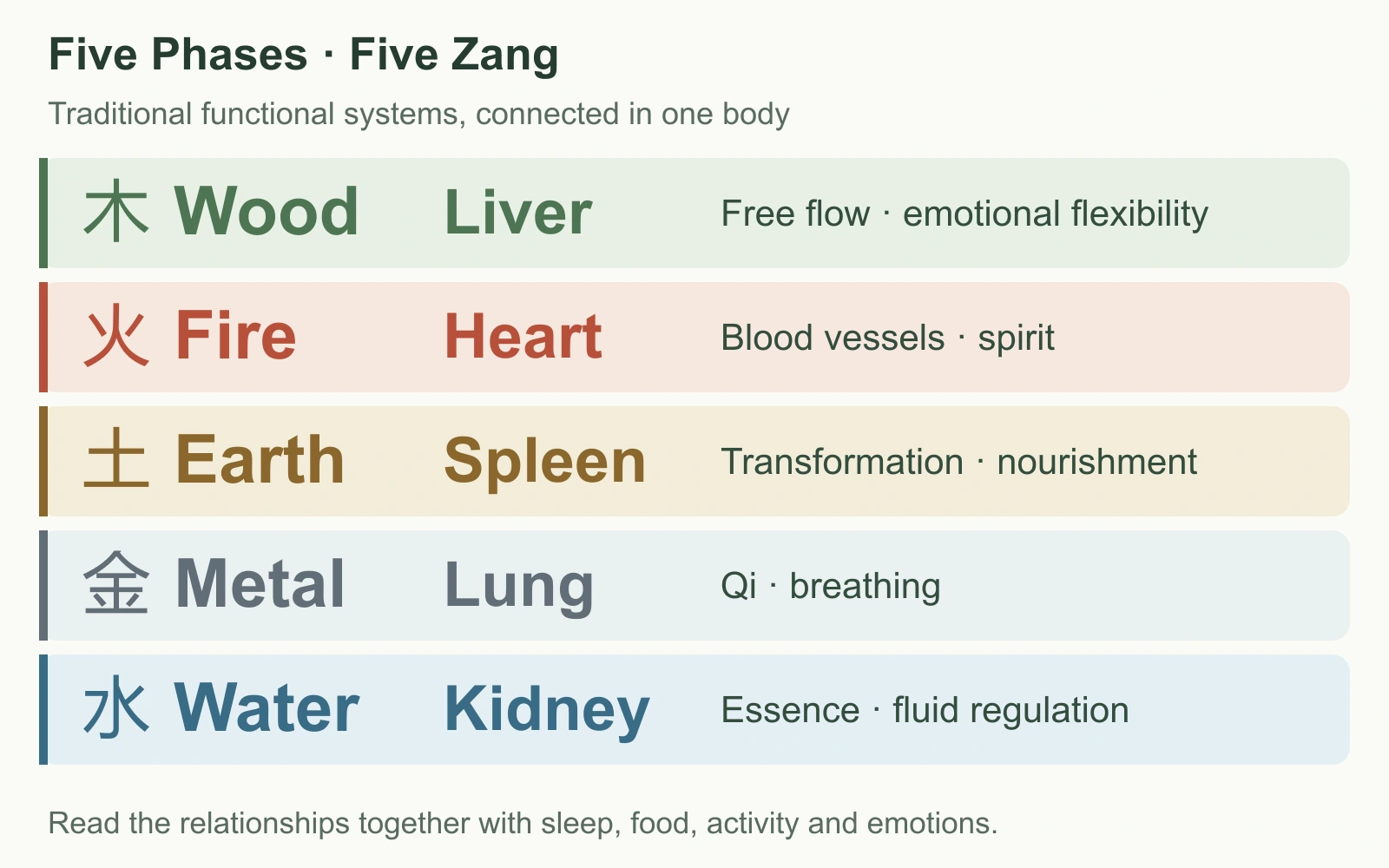 English table: Wood–Liver, Fire–Heart, Earth–Spleen, Metal–Lung and Water–Kidney, with traditional functional roles.